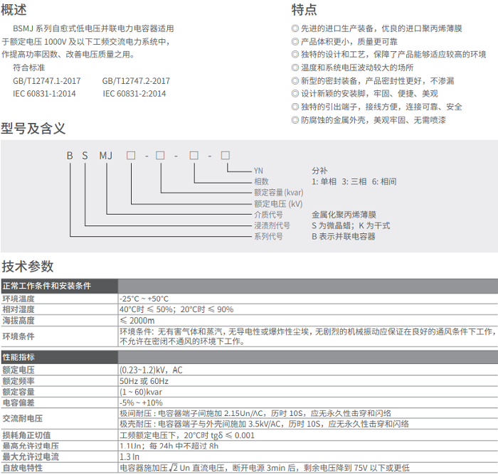 BCMJ0.23-20-3YNͶ