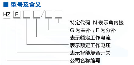 HZ-Fϵ܏(f)_P(gun)̖f